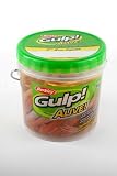 Gulp Alive 3 Squid Pint Pail 18per Pail Amber Glow
