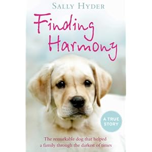 Finding Harmony: The remarkable dog that helped a family through the darkest of times