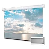 Projector Screen Manual 100
