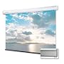 Projector Screen Manual 100"