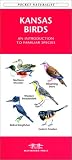 Kansas Birds (Pocket Naturalist)