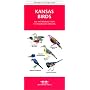 Kansas Birds