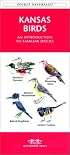 Kansas Birds