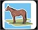 Decorated Mouse Pad with animals, mane, horse, animal, tail