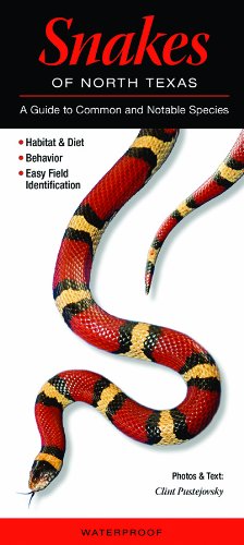 snakes of north texas a guide to common  notable species quick reference guides