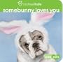 Somebunny Loves You (Paw Pals)