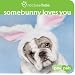 Somebunny Loves You (Paw Pals)