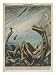 At Loch Ness Scotland Echo- Soundings Suggest the Presence of a Large Marine Creature Art Giclee Poster Print by Walter Molini, 12x16