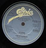 STORM 7 INCH (7" VINYL 45) UK EPIC 1981
