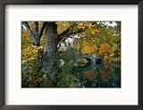 Autumnal View of a Stone Bridge Framed Photographic Poster Print by Robert Madden, 21x17