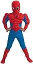 Spider-Man Muscle Chest Costume for Children age 3-5 years