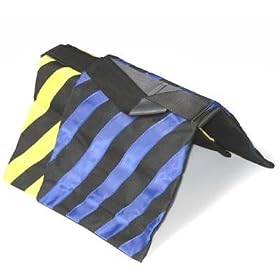 ePhoto TWO Photo Studio Pro Heavy Duty Sandbags Video Sand Bag Light Stand Sandbags Saddle bag by ephoto INC 2WFB