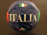 Italy 2010 FIFA World Cup Size 2 Mini Pure Roar Soccer Ball