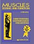 Muscles, Testing and Function: With Posture and Pain