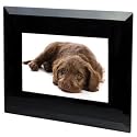 12" Pictorea Pro Digital Photo Frame (Black Glass) MP3/Movies & Jpeg + Remote with FREE 2GB SD Card