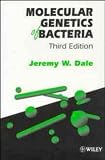 Molecular Genetics of Bacteria