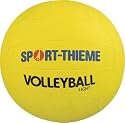 Sport-Thieme Light Volleyball