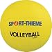 Sports : Sport-Thieme Volleyball Light