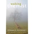 Walking the Mist: Celtic Spirituality for the 21st Century