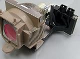 Lampedia Replacement Lamp for BENQ PB8253