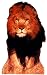 Lion Life-Size Standup Poster