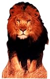 Lion Life-Size Standup Poster