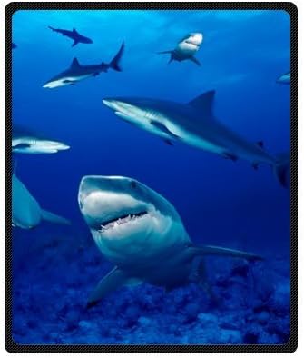 Deep Sea Animal Ocean Shark Fish Printed Blanket Sumptuously Plush Lap Warmer Winter Blankets Throw Bedspread 50" x 60" (Medium)