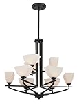 Quoizel EBN5009K Ebony 9 Light Rod Hung Chandelier