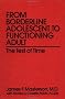 From Borderline Adolescent to Functioning Adult: The Test of Time