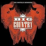 The Buffalo Skinners