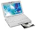 Sony VAIO PCG-TR1AP Laptop (900-MHz Pentium-M (Centrino), 512 MB RAM, 30 GB Hard Drive, DVD/CD-RW Drive)