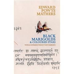 Black Marigolds and Coloured Stars (Poetica)