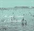 Lake District of Minneapolis: History of the Calhoun Isles Community (The Fesler-Lampert Minnesota Heritage Book Series)