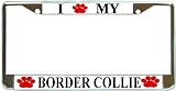 I Love My Border Collie Paw Prints Dog Chrome Metal License Plate Frame Holder
