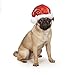 Aria Sequin Santa Hats for Dogs, Small