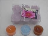 1 Dozen Hand Made Soy Blend Tealights - Macintosh Apple