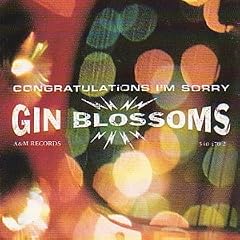 Congratulations I'M Sorry