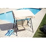 Ace Trading - Shin Ye Apex Pat ZS090825 Living Accents 2-Person Swing