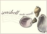 Seashell Small Note Cards (Potter Style)