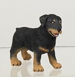 Rottweiler Puppy