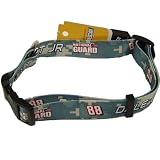 DALE EARNHARDT JR. OFFICIAL LOGO DOG PET COLLAR SZ L