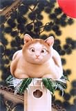 『2006年度版 ビッグコミックオリジナル 村松誠「猫」カレンダー』の写真