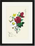 Black Framed/Matted Print 17x23, Butterflies