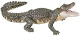 Wild Safari Jungle - Alligator