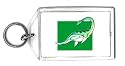 Keychain with dinosaur, reptile, sea, prehistoric, plesiosaurus