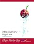 Introductory Algebra (Martin-Gay Developmental Math)