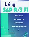 Using SAP R/3 F1: Beyond Business Process Reengineering