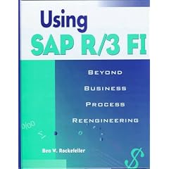 Using Sap R/3 Fi: Beyond Business Process Reengineering