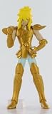 Figure gashapon Saint Seiya Hyoga of cygn in gold cloth of aquariusIMAGE
