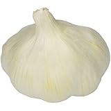 Medium Garlic, One Bulb